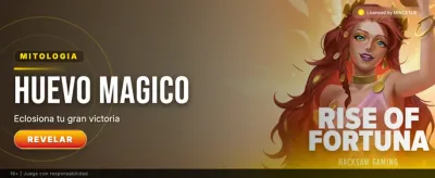Pinnacle Perú Banner